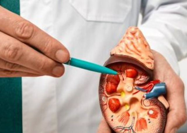 A shkaktohen gur&euml;t n&euml; veshka nga ushqimet? Ja &ccedil;far&euml;