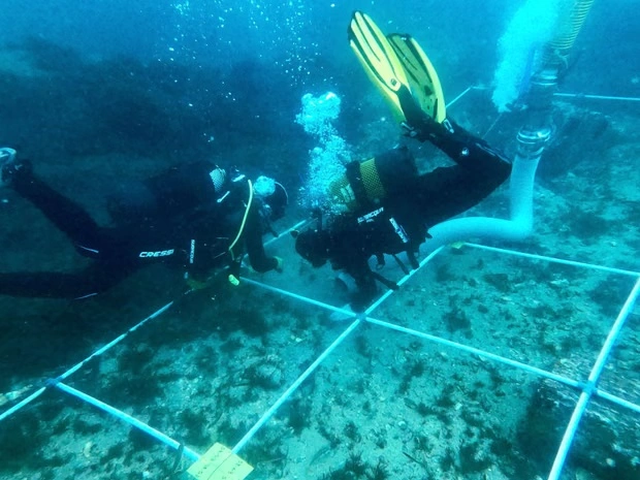 Thesare t&euml; fshehura n&euml; fund t&euml; detit &ndash; mbi 130 anije