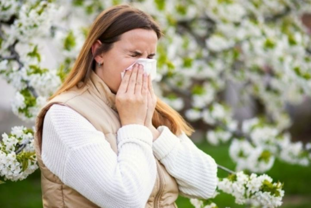Alergjit&euml; dyfishohen/ Klima dhe faktor&euml;t e rinj rrisin rastet, shtohen