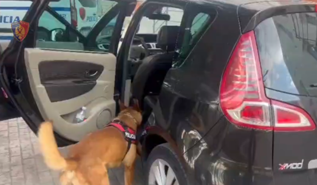 Shisnin kokain&euml; n&euml;p&euml;r qytet, goditet grupi kriminal n&euml;