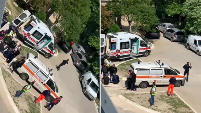 Plagosja n&euml; Tepelen&euml;/ Kush jan&euml; dy t&euml; rinjt&euml; q&euml;