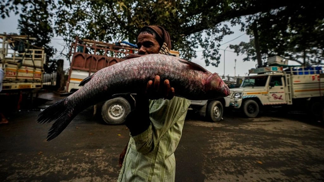 Pse politikan&euml;t n&euml; Indi b&euml;jn&euml; fushat&euml; duke mbajtur