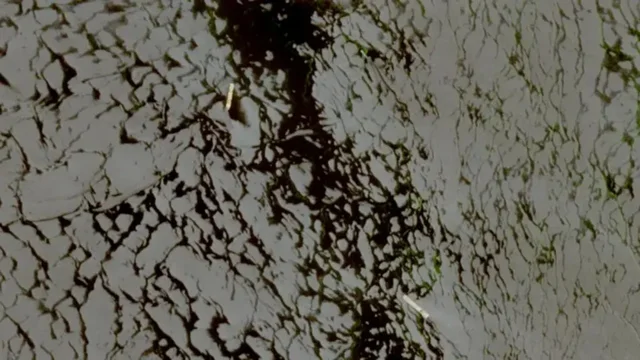 Izraeli: Godit&euml;m nj&euml; automjet n&euml; jug t&euml; Libanit,