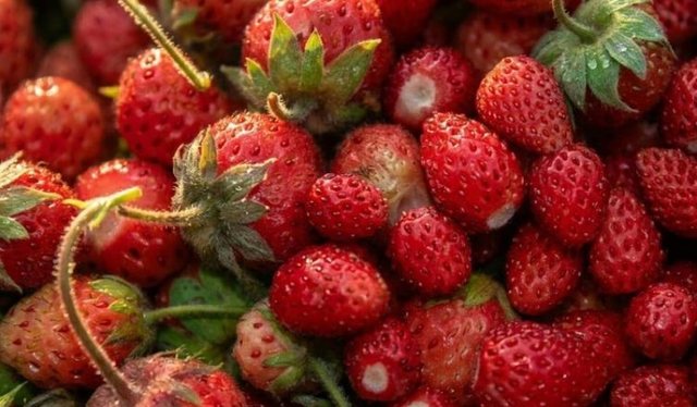 3 k&euml;shilla p&euml;r t&euml; ulur konsumin e sheqerit dhe p&euml;r t&euml;