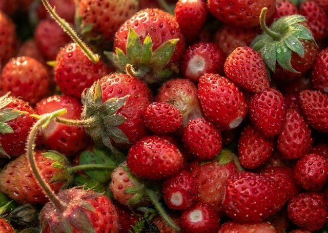 3 k&euml;shilla p&euml;r t&euml; ulur konsumin e sheqerit dhe p&euml;r t&euml;