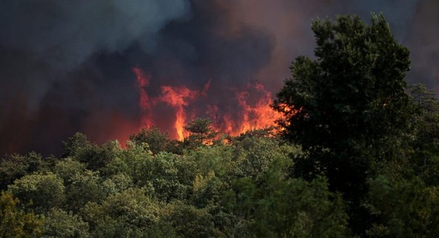Emergjenc&euml; nga zjarret n&euml; Toskan&euml;, rreth 3 mij&euml; banor&euml;