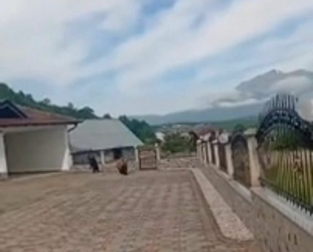 "Ej hajde k&euml;tu"/ Tre arinj futen n&euml; oborrin e nj&euml;