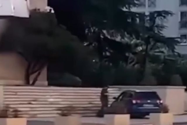 P&euml;rplasi makin&euml;n te shkall&euml;t e Kryeministris&euml;, arrestohet