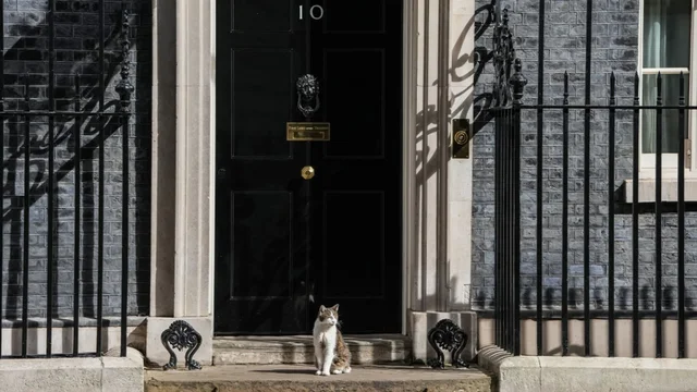 Ma&ccedil;oku legjendar i Downing Street, q&euml; ka p&euml;rcjell&euml; 5