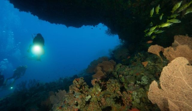 Maldive, zhytësit finlandezë i bashkohen kërkimeve për