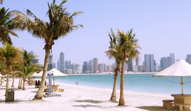 Dubai hap plazhin e par&euml; privat n&euml; bot&euml; vet&euml;m p&euml;r
