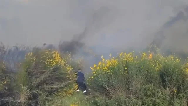 Zjarr masiv n&euml; Vlor&euml;, flak&euml;t p&euml;rhapen me shpejt&euml;si!
