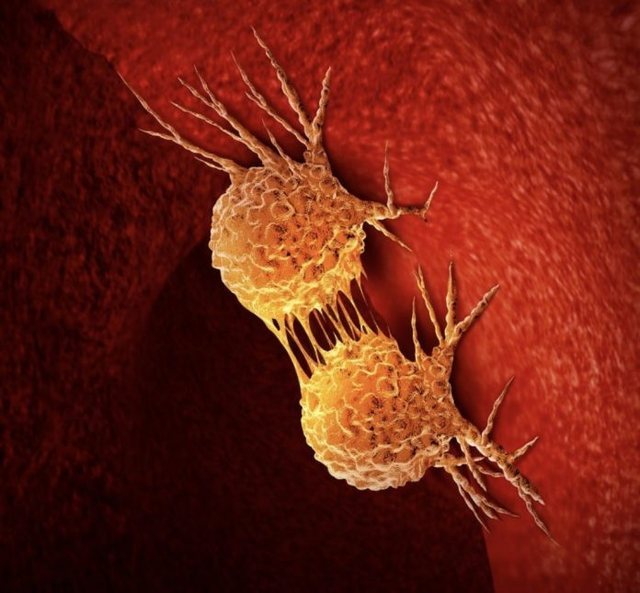 &ldquo;Science&rdquo;: Mungesa e vitamin&euml;s B7 mund t&euml; frenoj&euml;