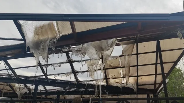I shpallur në kërkim për zjarrin në tregun e fruta-perimeve