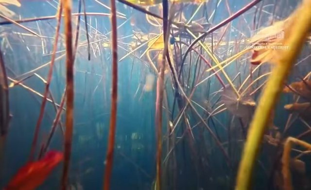 VIDEO/ Pamje nga Parku Kombëtar Lurë–Mali i Dejës: