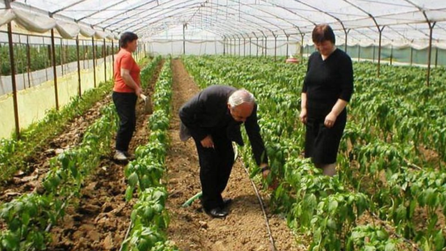 Hapen aplikimet p&euml;r skem&euml;n e bujq&euml;sis&euml;, 5.2 mld lek&euml;: