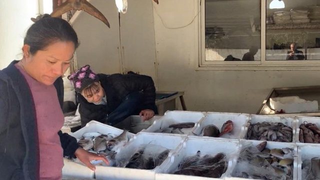 Biznesi merr pun&euml;tor&euml; t&euml; huaj, por 68 mij&euml; vendas t&euml;