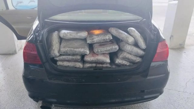Kapet sasi e madhe lënde narkotike në kufirin Greqi-Shqipëri, ja