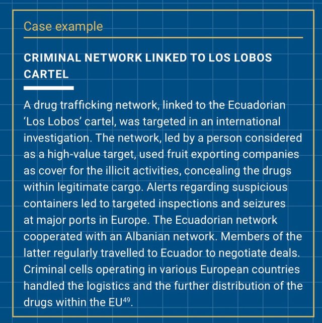 Alarmi i EUROPOL, grupet kriminale shqiptare t&euml; lidhur me kartelin