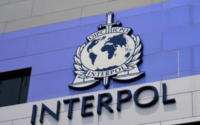 "Mbyti" Italinë me kokainë/ Interpol Tirana ekstradon drejt
