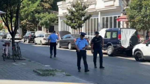 Profil/ Kush &euml;sht&euml; Vladimir Bru&ccedil;i, i pla'gosuri i
