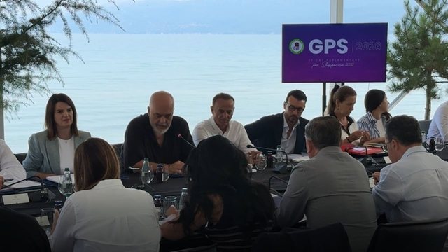 Skaner i problemeve n&euml; &ccedil;do lagje/ Si do t&euml; funksionoj&euml;