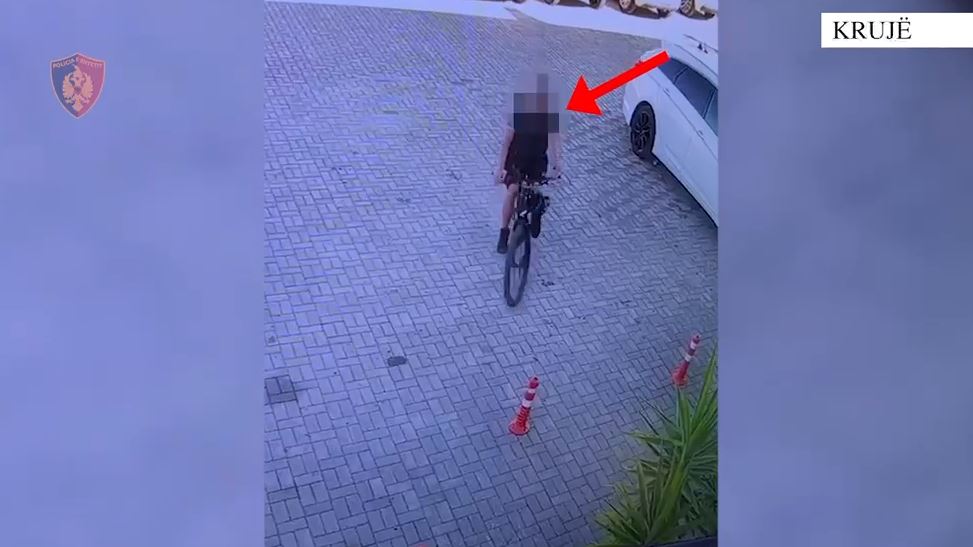 Dyshohet p&euml;r 3 vjedhje n&euml; hotele e lokale, arrestohet i riu polak